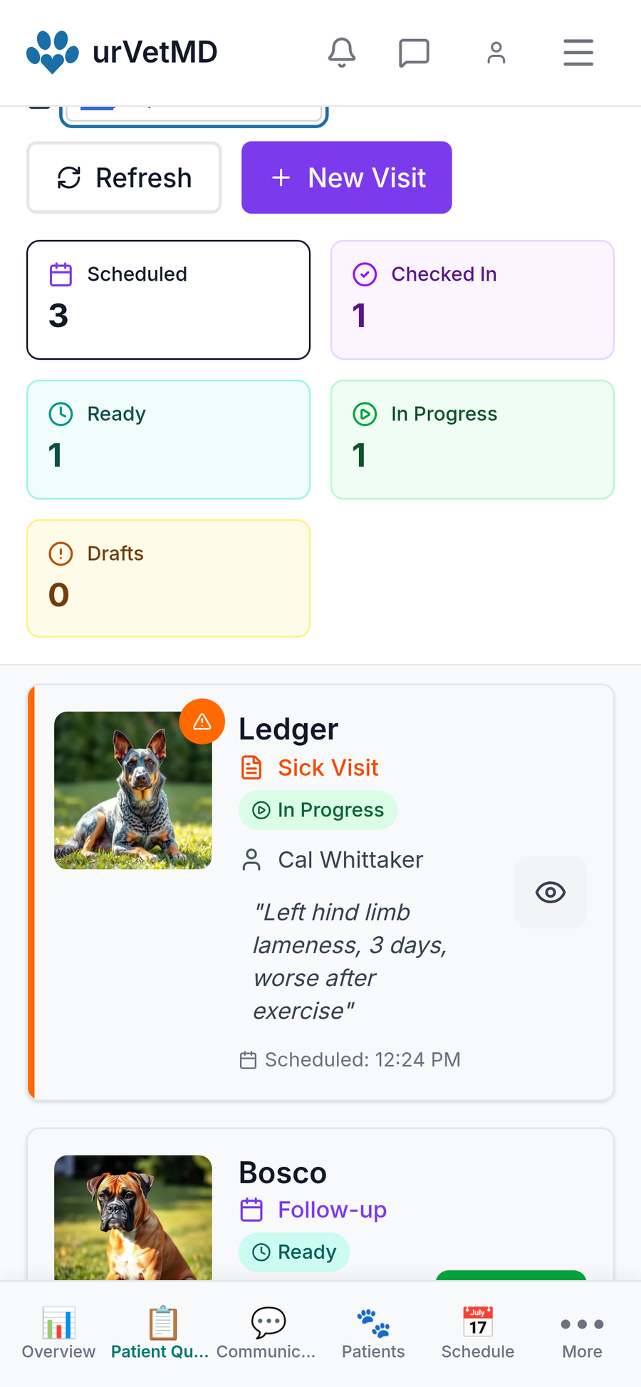 The visit queue on a phone, showing Ledger in progress for a sick visit and Bosco ready for a follow-up, each with a photo and the reason for the visit